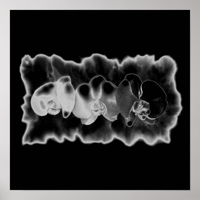 Black White Orchid painting trippy floral  Poster (Front)