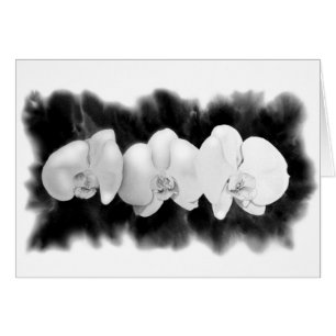 Black White Orchid painting tropical floral