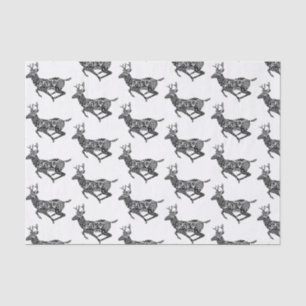 Black & White Paisley Deer Tissue Paper