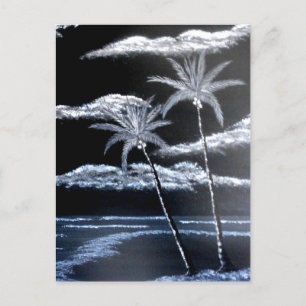 Black & White Palm Trees Postcard