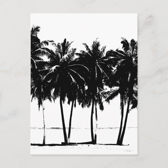 Black White Palm Trees Silhouette Postcard (Front)