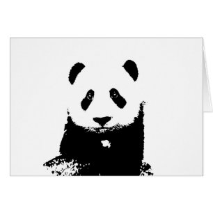 Black & White Panda