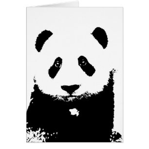 Black & White Panda