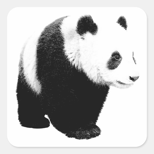 Black & White Panda Square Sticker (Front)