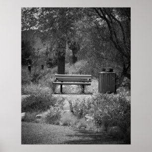 Black & White Park Bench 16x20 Poster Print