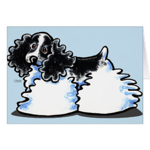 Black White Parti Cocker Spaniel