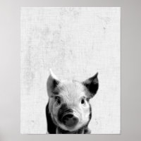 Black & White Peekaboo Piglet Minimalist Nursery
