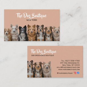 Black & White Pet Groomer Business Card 