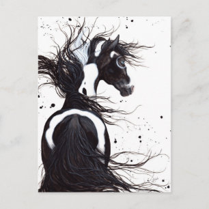 Black White Pinto Paint Horse by Bihrle Post Card
