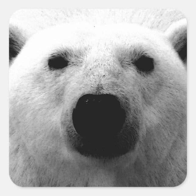 Black & White Polar Bear Square Sticker (Front)