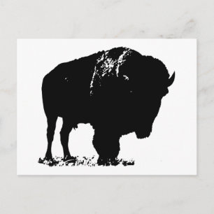 Black & White Pop Art Bison Buffalo Postcard