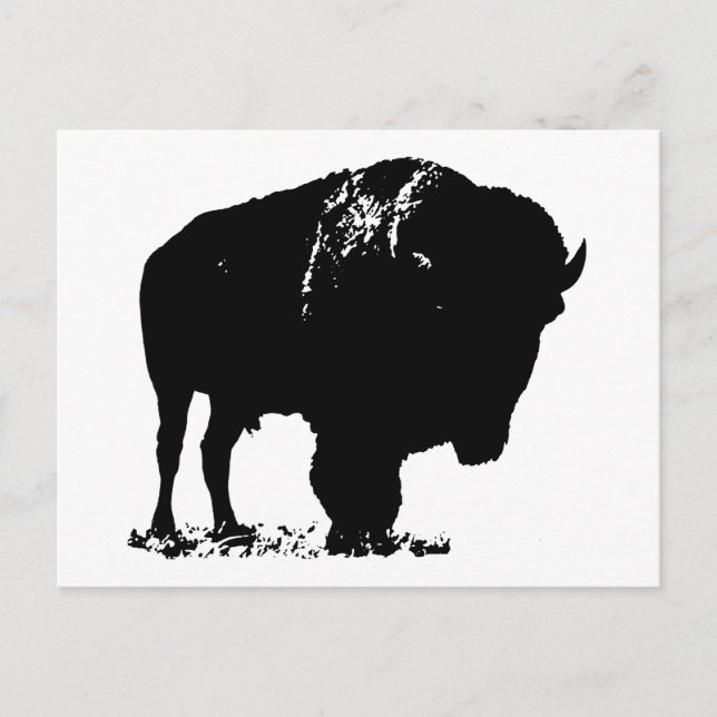 Black & White Pop Art Bison Buffalo Postcard (Front)