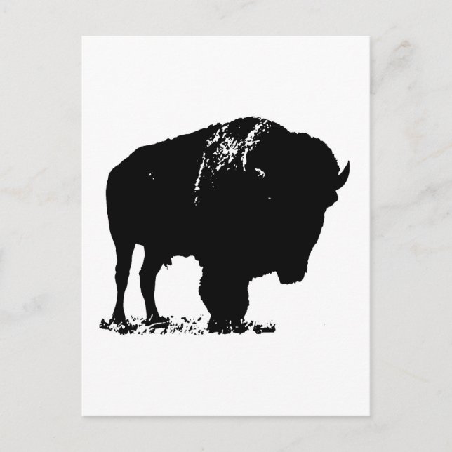 Black & White Pop Art Bison Buffalo Postcard (Front)