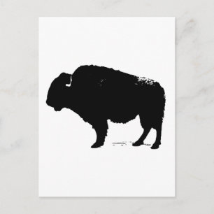 Black & White Pop Art Buffalo Bison Postcard