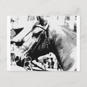 Black & White Pop Art Horse Postcard