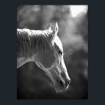 Black & White Pop Art Horse Print Poster<br><div class="desc">BW Horse Head Pop Art Posters Prints - Black & White Farm Animals Photography Digital Pop Art Artwork - Pop Art Black & White Horse Face Poster Print with Small,  Medium,  Large,  Huge - Giant,  Colossal Poster Sizes. Huge Horse Posters Prints.</div>