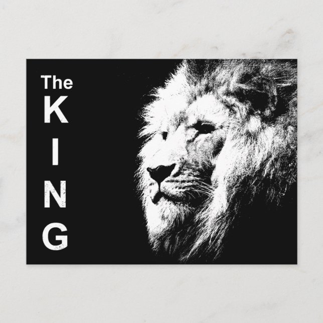 Black & White Pop Art Template Lion Head Modern Postcard (Front)