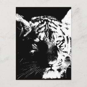 Black & White Pop Art Tiger Postcard