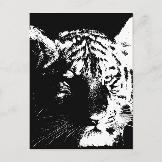 Black & White Pop Art Tiger Postcard (Front)