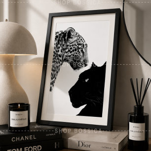 Black & White Poster Leopard & Black Panther