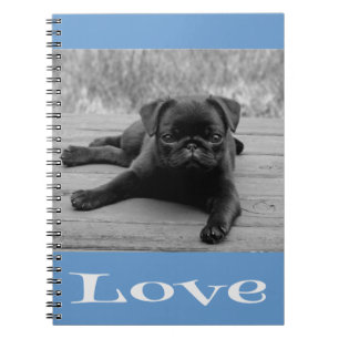 Black & White Pug Puppy Dog Blue Love Notebook
