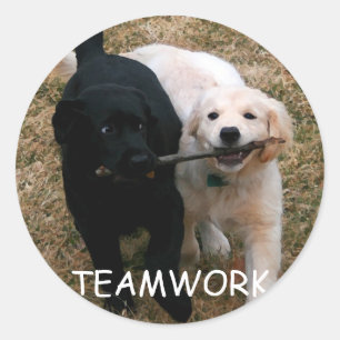 Black & white puppies "teamwork" stickers