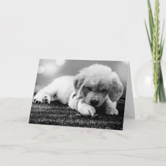 Black & White Puppy Blank Card