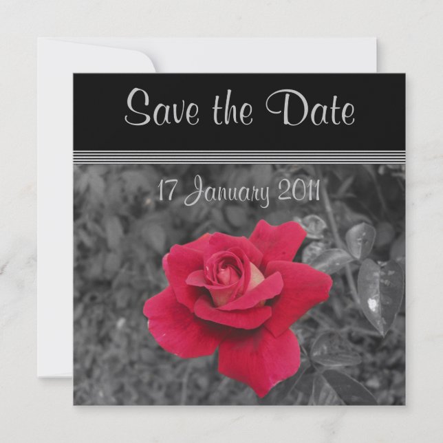 Black White Red Rose Save the Date Cards (Front)