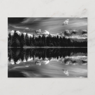 Black & White Reflections Post Card