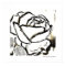 Black White Rose Flower Modern Abstract Line Art