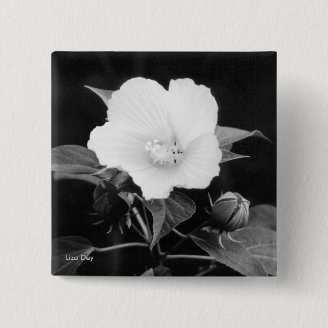 Black & White Rose Mallow Square Button (Front)