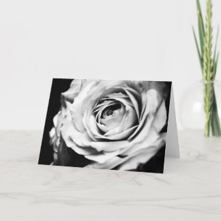 Black & White Rose - With Contrast Card