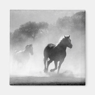 Black & White Running Horses Photo Artwork Magnet