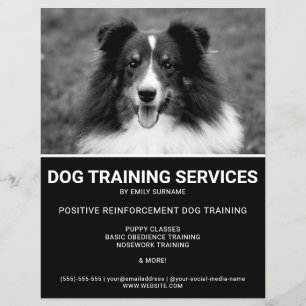 Black & White Shetland Sheepdog Photo Dog Trainer Flyer