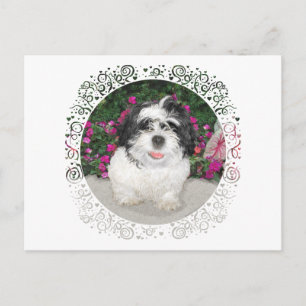 Black & White Shih Tzu Puppy Rescue Dog Postcard