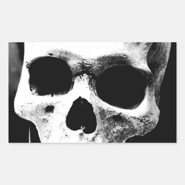 Black & White Skull Rectangular Sticker (Front)