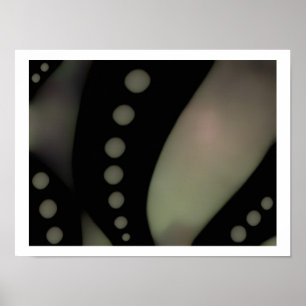 Black & White Smooth ~ Print / Poster