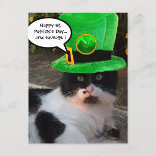 BLACK WHITE ST. PATRICK'S DAY CAT LEPRECHAUN HAT POSTCARD