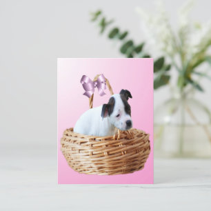 Black White Staffordshire Puppy, Postcard
