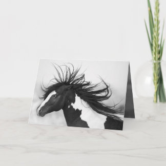 Black & White Stallion Wild Horse Greeting Card