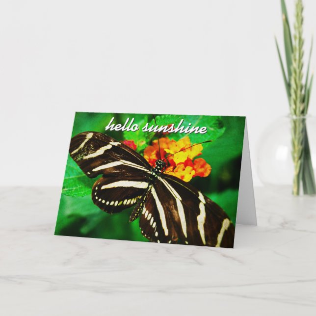 Black White Stripe Butterfly Hello Sunshine Script Card (Front)