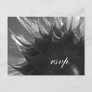 Black White Summer Garden Sunflower Wedding RSVP Invitation Postcard