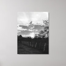 Black & White Sunset Photo Print Canvas Wall Decor