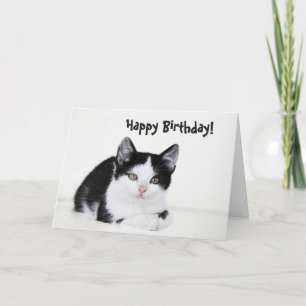 Black White Thoughtful Kitten Greeting Card