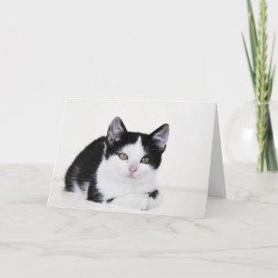 Black White Thoughtful Kitten Greeting Card