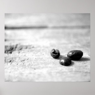 Black & White Three Dark Whole Coffee Beans 16x20 Poster