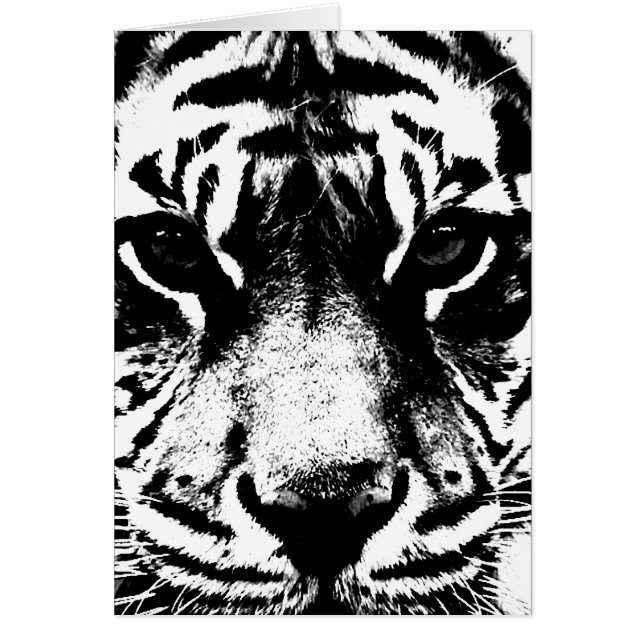 Black & White Tiger (Front)