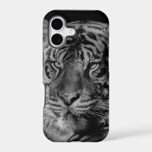 Black & White Tiger