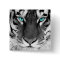 Black White Tiger