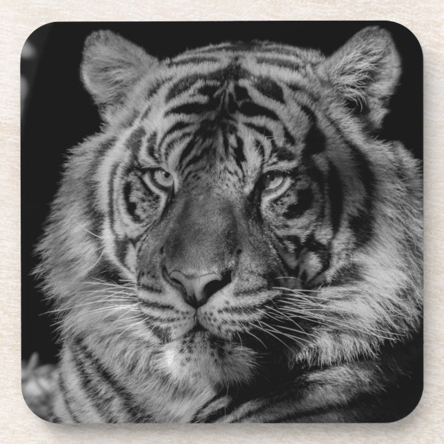 Black & White Tiger Coaster (Front)